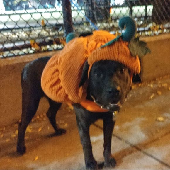 Meet your Posher, Derek - Picture 1 of 1